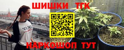 прущие крисы Апшеронск