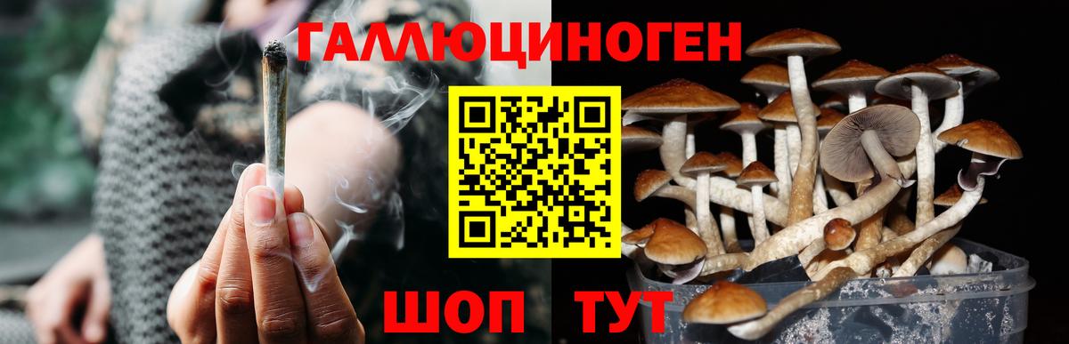 Галлюциногенные грибы мухоморы  цена   Астрахань  Вход с VPN 